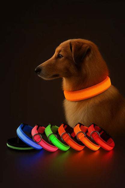 LED Dog Collar, Light Up Dog Collar Lights USB Rechargeable
