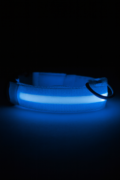 LED Dog Collar, Light Up Dog Collar Lights USB Rechargeable
