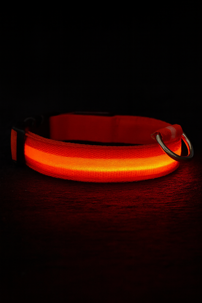 LED Dog Collar, Light Up Dog Collar Lights USB Rechargeable