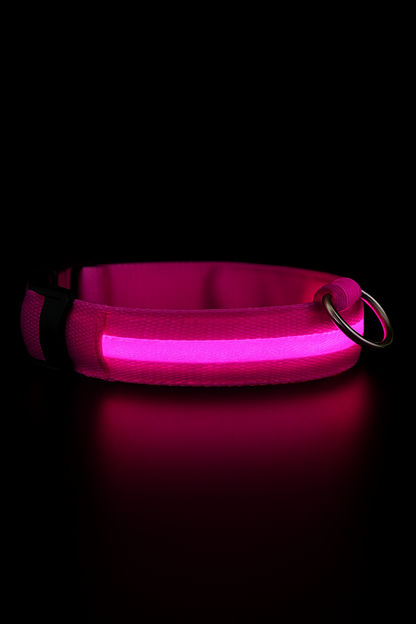 LED Dog Collar, Light Up Dog Collar Lights USB Rechargeable